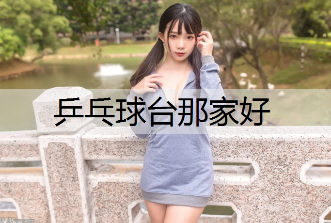 乒乓球台那家好