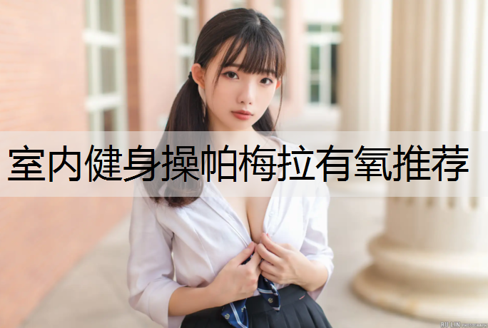 室内健身操帕梅拉有氧推荐