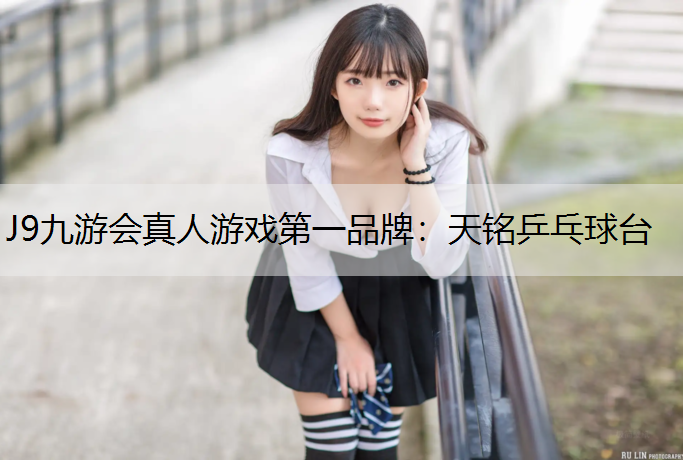 天铭乒乓球台