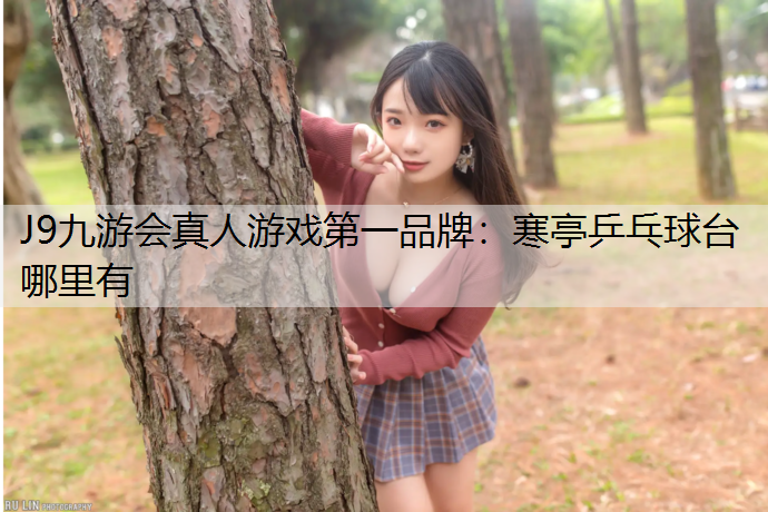 寒亭乒乓球台哪里有